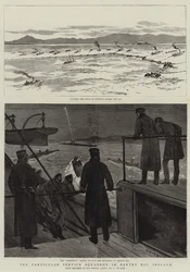 Die Besondere Dienststaffel in der Bantry Bay, Irland